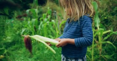 Çocuk yeşil bahçede mısır soyuyor.