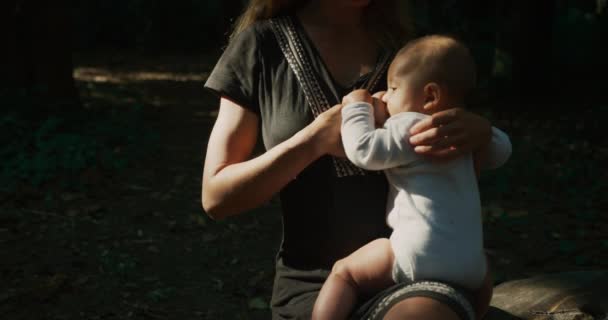 Мать Новорожденный Сын Лесу — стоковое видео
