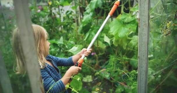 Netter Junge Gießt Pflanzen Garten — Stockvideo