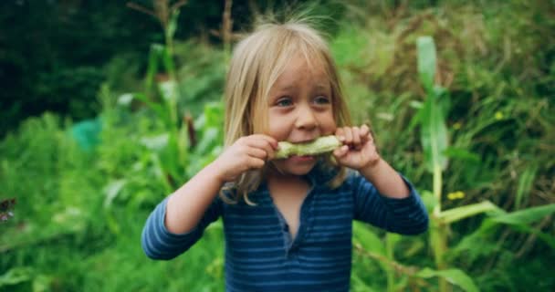 Cute Little Boy Jedzenia Surowej Kolby Kukurydzy Ogrodzie — Wideo stockowe