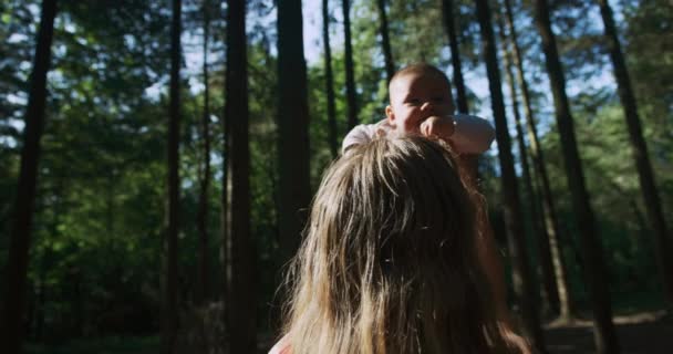 Mutter Spaziert Mit Ihrem Sohn Sonnigen Wald Zwischen Bäumen — Stockvideo