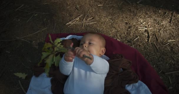 Bonito Menino Deitado Chão Floresta Brincando Com Folhas Outono — Vídeo de Stock