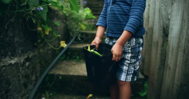 小男孩在院子里玩 — 图库视频影像