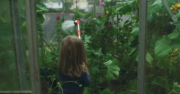 Bahçede Çiçekleri Sulayan Tatlı Çocuk — Stok video