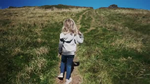 小さな男の子は日当たりの良いフィールドで長い歩道を歩く — ストック動画