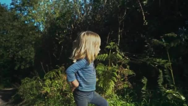 Kleine Jongen Loopt Een Lang Pad Een Zonnig Veld — Stockvideo