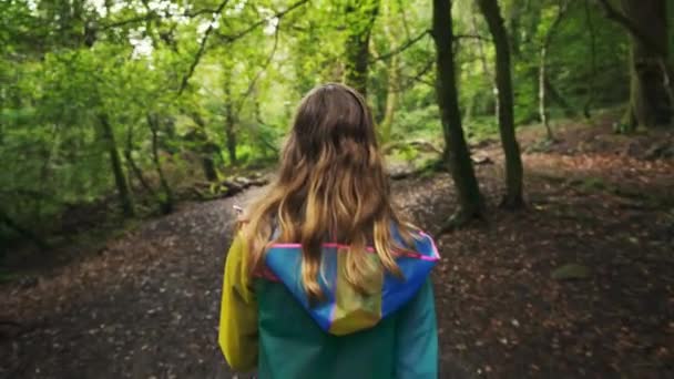 Mujer Joven Caminando Bosque — Vídeos de Stock