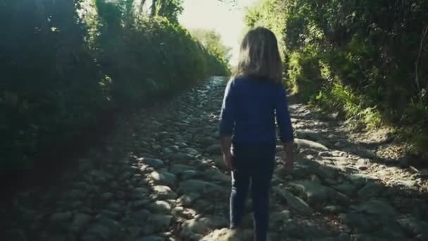 Μικρό Αγόρι Που Περπατά Μακρύ Μονοπάτι Στο Ηλιόλουστο Χωράφι — Αρχείο Βίντεο