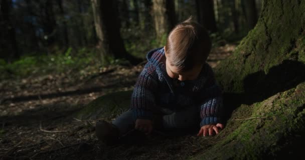 Netter Kleiner Junge Sitzt Auf Dem Boden Und Spielt Frühlingswald — Stockvideo