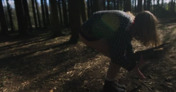 Hübsche Frau Pflückt Holzstäbchen Wald — Stockvideo