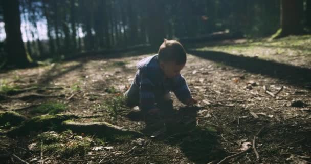 かわいい男の子が地面に座って春の森で遊んでいます — ストック動画