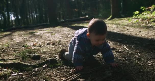 Cute Little Boy Siedzi Ziemi Gra Wiosennym Lesie — Wideo stockowe