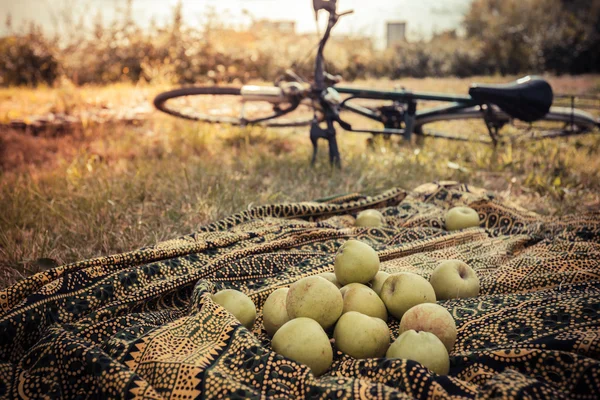 背景中的自行车以外的毯子上的苹果 — 图库照片