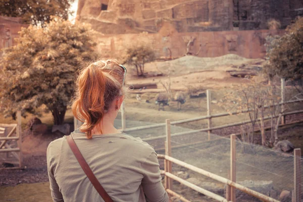 Young woman standing by animal enclosure — Stock Photo, Image