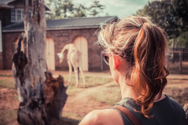 Young woman looking at animals in the zoo — Stock Photo, Image