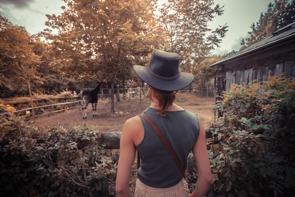 Jonge vrouw kijken naar dieren in de dierentuin — Stockfoto