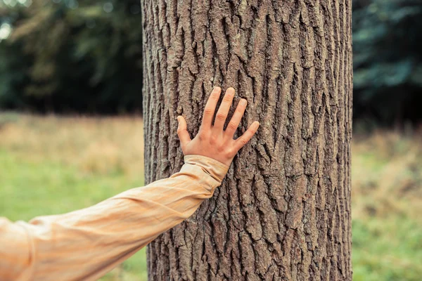 Tânără femeie lesaning pe un copac în pădure — Fotografie, imagine de stoc