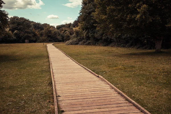 Boardwalk in het bos — Stockfoto