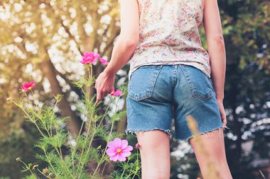 Genç kadın çayır çiçek toplama