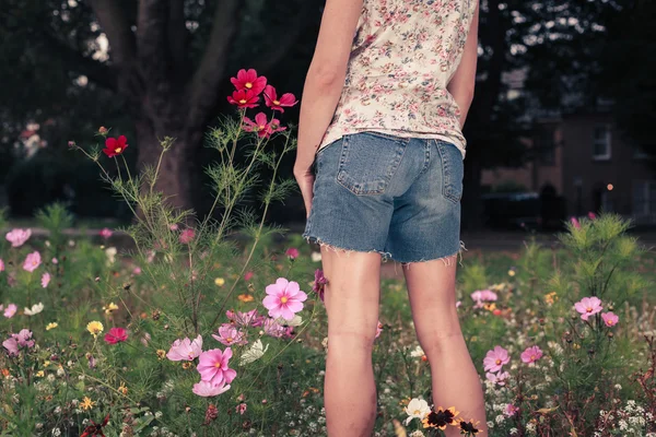 Giovane donna raccogliendo fiori nel prato — Foto Stock