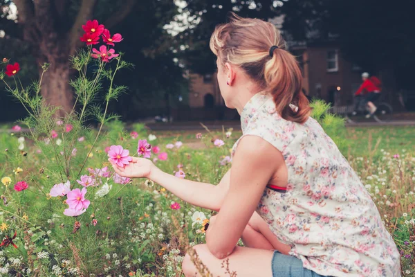 Giovane donna raccogliendo fiori nel prato — Foto Stock