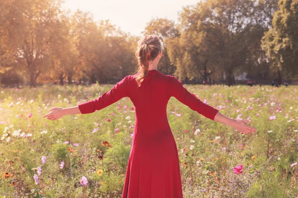 Joven mujer feliz en un prado —  Fotos de Stock