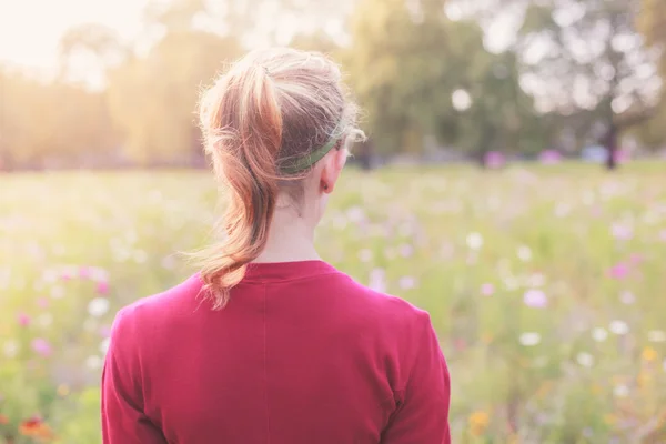 Jovem mulher no prado ao pôr do sol — Fotografia de Stock