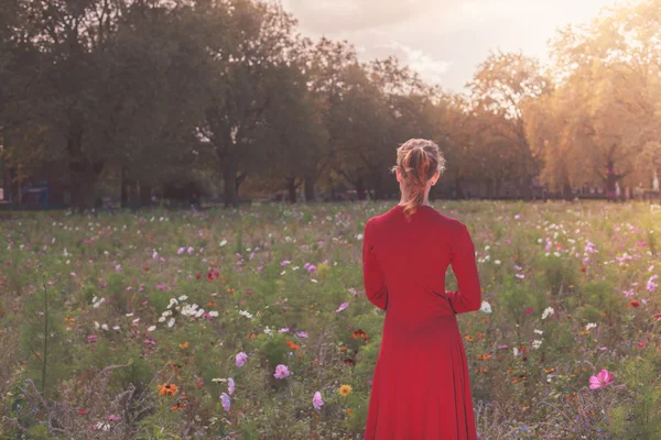 Young woman in meadow at sunset — Stock Photo, Image