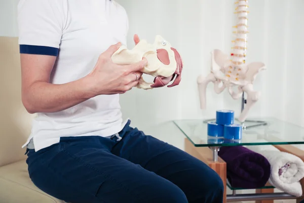 Therapist with model of pelvis — Stock Photo, Image