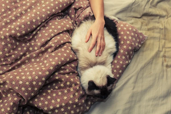 女人和猫在床上 — 图库照片
