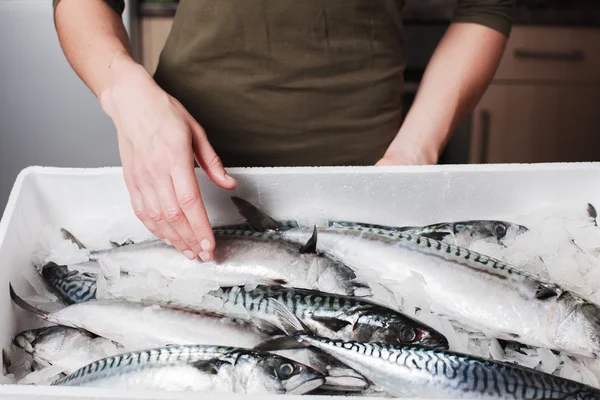 Kvinna med låda med makrill — Stockfoto