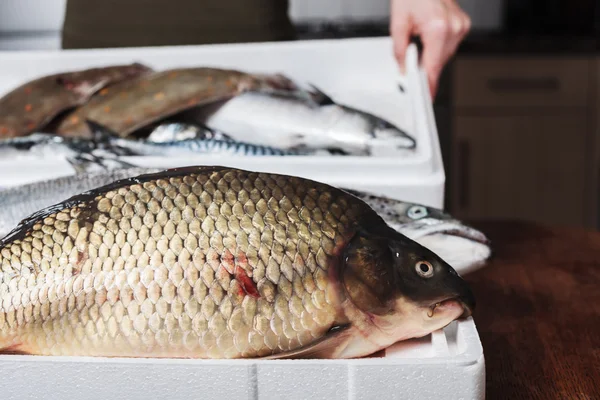 Peixe em uma mesa de cozinha — Fotografia de Stock