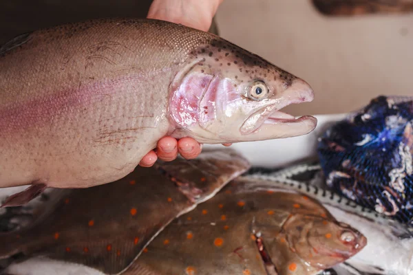 Young woman holding a trout in her kitchen — Stock Photo, Image