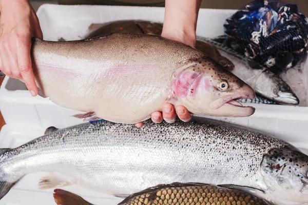 Young woman holding a trout in her kitchen — Stock Photo, Image