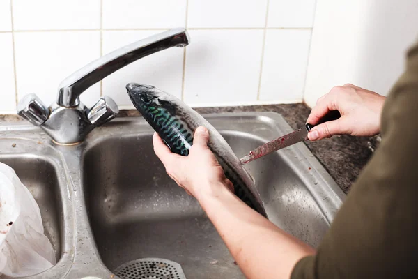 Evisceração e limpeza de um peixe — Fotografia de Stock