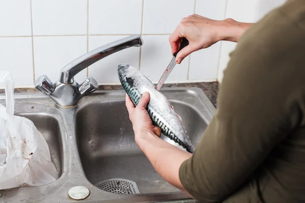 Strippen en schoonmaken van een vis — Stockfoto