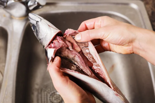 Rensning och rengöring en fisk — Stockfoto