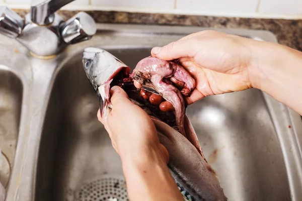 Entkernung und Reinigung eines Fisches — Stockfoto