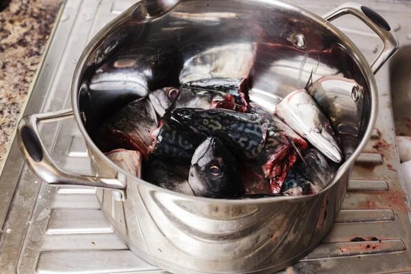 Topf gefüllt mit Fischköpfen — Stockfoto