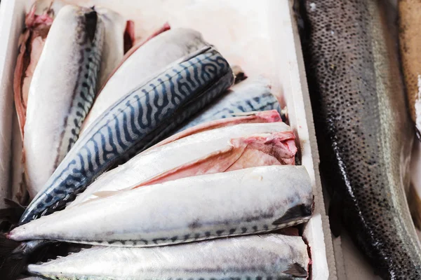 Cleaned and gutted mackerel — Stock Photo, Image