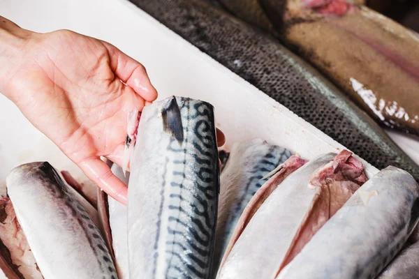 Hand arranging fish in a box — Stock Photo, Image