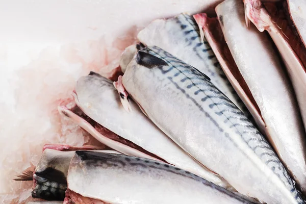 Cleaned and gutted mackerel — Stock Photo, Image