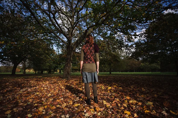 Молодая женщина смотрит на деревья в парке — стоковое фото