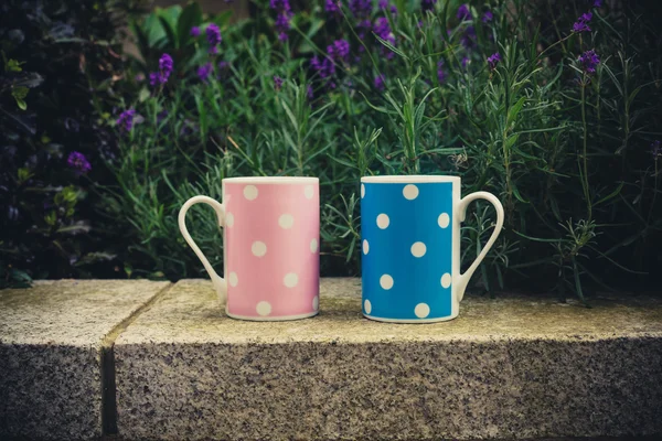 Rosa und blaue Tassen draußen — Stockfoto