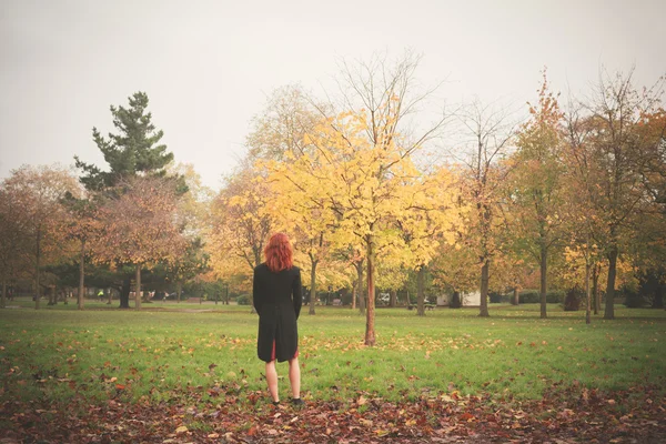 Sonbaharda ağaç tarafından duran kadın — Stok fotoğraf