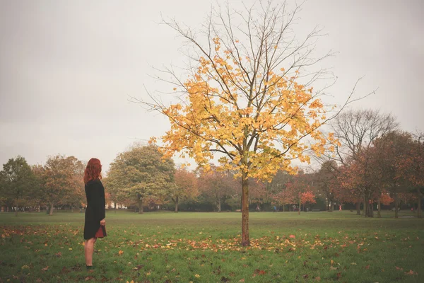 Женщина, стоящая у дерева осенью — стоковое фото