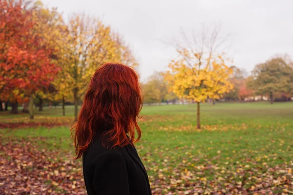 Mulher em pé junto à árvore no outono — Fotografia de Stock