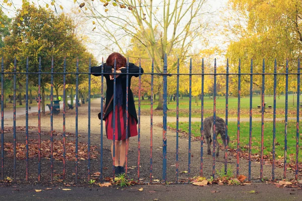 Sad woman with dog in park — Stock Photo, Image