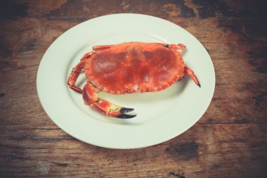 plaka üzerine Yengeç