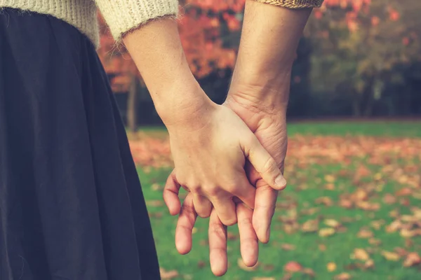 Ζευγάρι κρατιέται χέρι χέρι στο πάρκο — Φωτογραφία Αρχείου